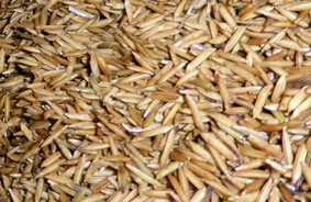 在蒸谷米生产中测量湿度
